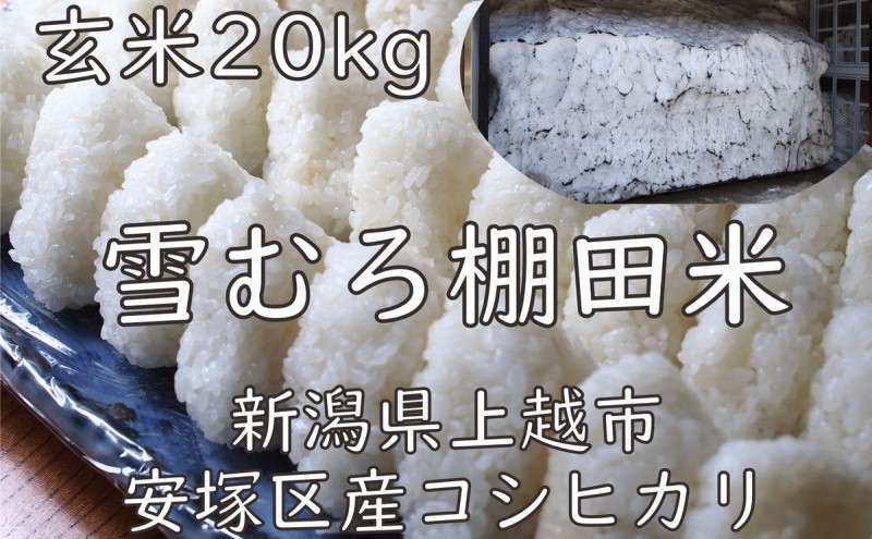 令和7年 新潟県産 棚田米 コシヒカリ 玄米 20kg 20キロ 雪中貯蔵 雪むろ こしひかり お米 こめ 新潟 上越 米 送料無料