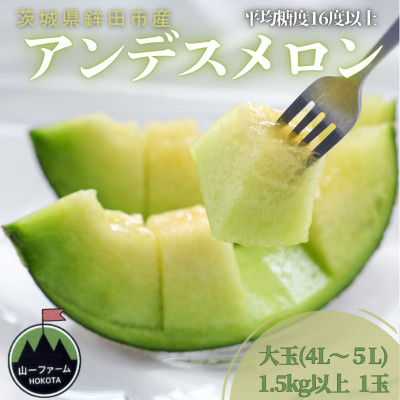 【先行受付】令和8年4月順次発送 茨城県鉾田市 山一ファーム アンデスメロン 大玉 4L～5L・1玉【配送不可地域：離島・沖縄】【1590727】