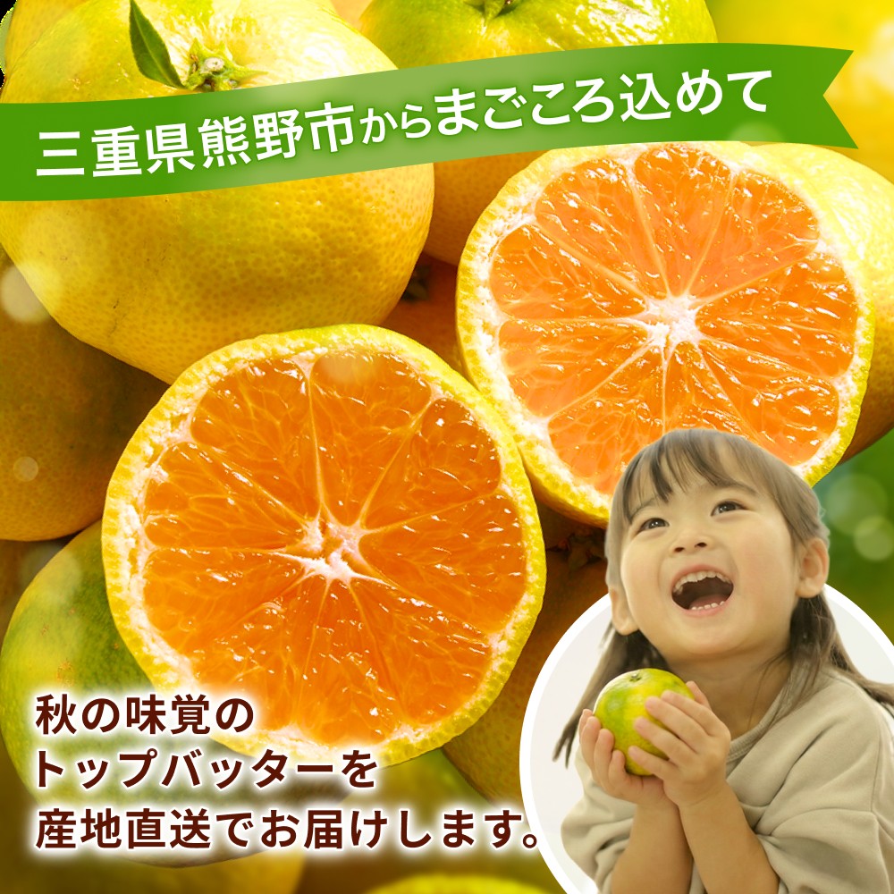 みかん 金山パイロットファームの 温州みかん 5㎏ 極早生(青切り) みかん ミカン 温州みかん 極早生 極早生みかん フルーツ 果物 くだもの 柑橘 産地直送 数量限定 人気 国産 三重県 熊野市【