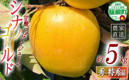 りんご シナノゴールド 秀 ～ 特秀 5kg ( 12 ～ 16玉 ) サイズおまかせ 関果樹園もりんご 沖縄県への配送不可 2026年11月上旬頃から2026年12月上旬頃まで順次発送予定 令和8年度収穫分 減農薬栽培 ネオニコチノイド系農薬不使用 信州 果物 フルーツ リンゴ 林檎 長野 予約 農家直送 長野県 飯綱町 [2088]
