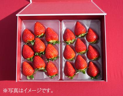 【奈良県知事賞受賞】ギフトボックス入り古都華（ことか）2Lサイズ（8～9粒入り）×2パック｜とのあさイチゴ農園※着日指定不可※2024年1月中旬～5月初旬頃に順次発送予定