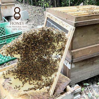 ふるさと納税 羽島市 珠玉の百花(はちみつ)300g |  | 03
