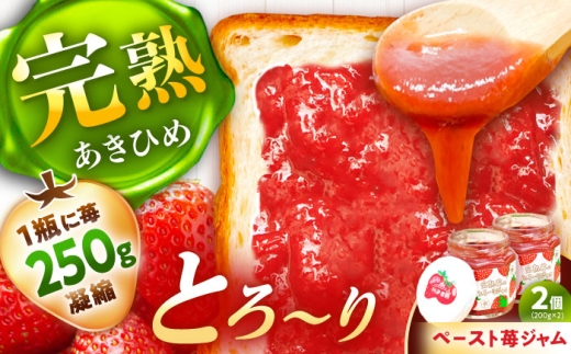 完熟苺のとろーりジャム / いちごジャム あきひめ 国産 栄養 効果 美味しい 瓶詰め ギフト / 恵那市 / 阿部農園 [AUGA007]