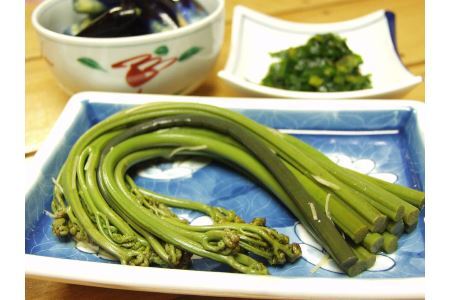 【先行予約】採れたて山菜　あく抜きわらび　200ｇ×4束　限定100