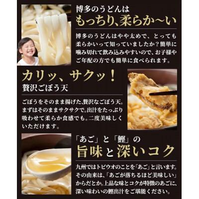 ふるさと納税 飯塚市 簡易包装　博多ごぼう天うどん12食セット(飯塚市) |  | 02