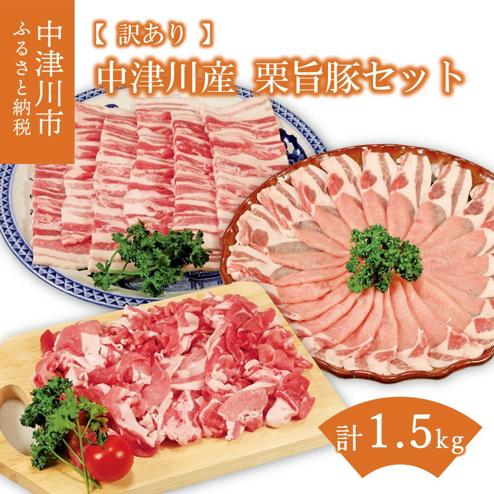 【ふるさと納税】地元の人からも大人気！中津川産 栗旨豚セット 訳あり F4N-1235