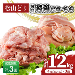 【定期便3回】松山どり むね 2kg×1パック もも肉 2kg×1パック ×3回 計12kg 鶏肉鶏肉鶏肉【BJ019】