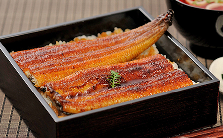 うなぎ 大和養魚 浜名湖 白焼1尾 計300g うなぎ
