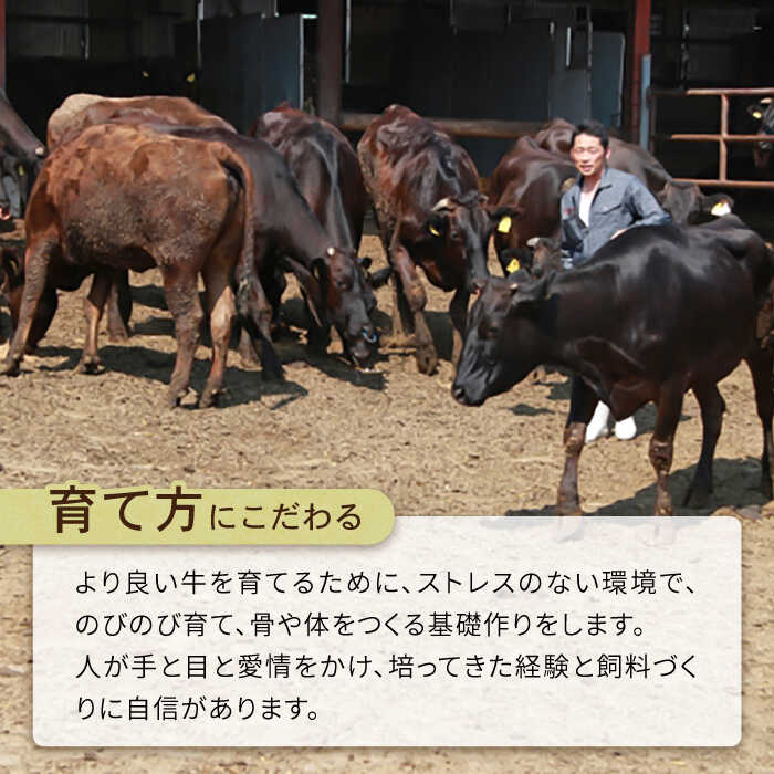 【6回定期便】長崎県産 和牛 切り落とし1kg  / 南島原市 / 高田牧場 [SDB006]_イメージ5
