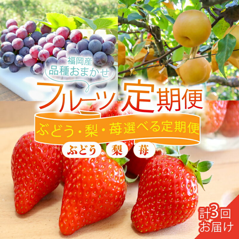 【ふるさと納税】フルーツ 定期便 2-3回 ( あまおう ぶどう 梨 ) 苺 あまおう 約560g ぶどう 2kg 梨 5kg 選べる回数 福岡県産 あまおう 葡萄 巨峰 梨 豊水 なし 果物 定期便 予約販売 予約受付 数量限定 福岡県 川崎町