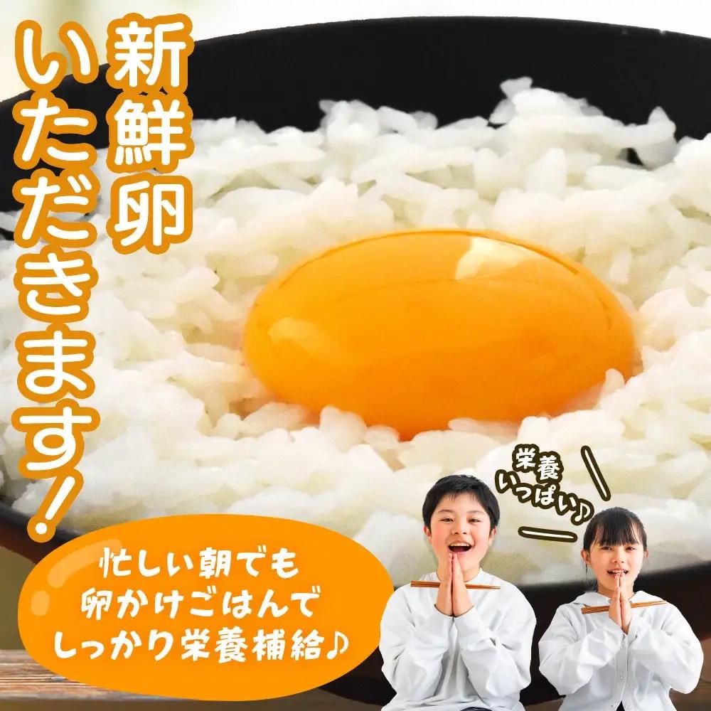 【6か月連続お届け】眠れる森のたまご　朝採れ卵60個   たまご タマゴ 卵 鶏卵 濃厚 こだわり 新鮮　【04301-0795】