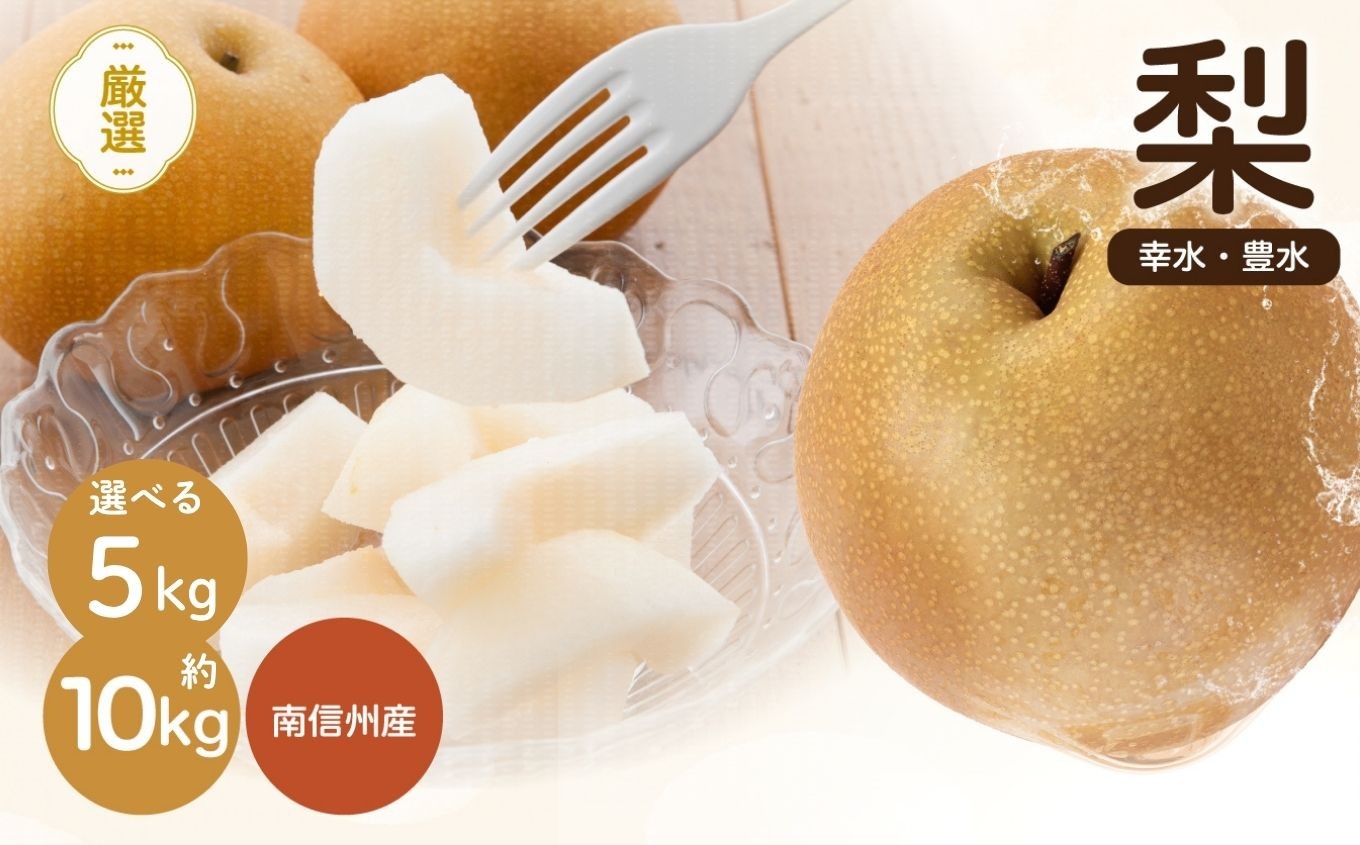 
                  南信州産 梨 ＜ 幸水 ・ 豊水 ＞ いずれか1品種 おまかせ 【選べる内容量】＜2026年8月中旬～9月中旬発送＞| 梨 なし ナシ 幸水 豊水 果物 くだもの フルーツ 長野県 信州 南信州 飯田
                