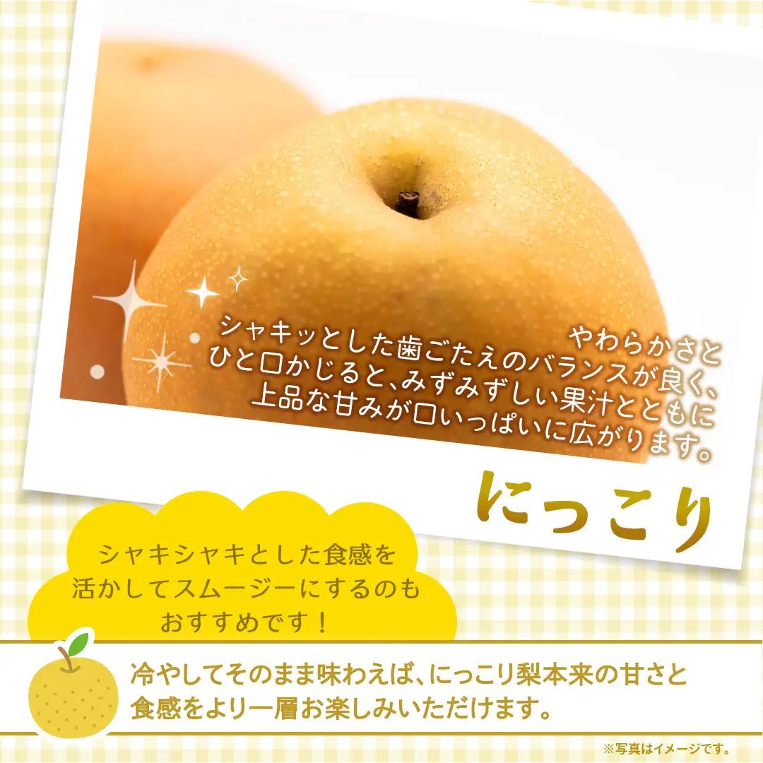 にっこり 梨 約3kg 【2026年10月より発送開始】（茨城県共通返礼品 [梨]：大子町産）