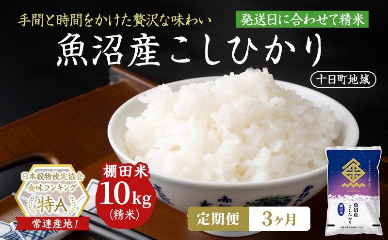 【令和8年産 先行予約】【3ヶ月定期便】魚沼産こしひかり 棚田米(十日町地域) 精米 10kg(5kg×2) 米 お米 コシヒカリ 定期 十日町市