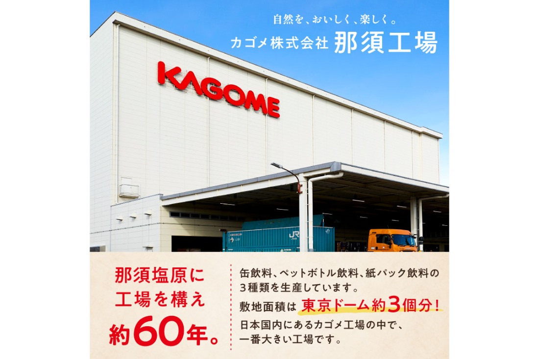 ns001-012　【定期便6ヵ月】カゴメ　野菜一日これ一本　長期保存用　190g缶×30本 1ケース 毎月届く 6ヵ月 6回コース【 栃木県 那須塩原市 】