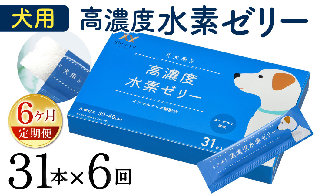 
【6ヶ月定期便】 高濃度 水素ゼリー 犬用 31本入り × 6回 (1本5g) 水素 ゼリー ごはん おやつ 犬 愛犬 健康食品 サプリ ヨーグルト風味 持ち運び 携帯 ペット
