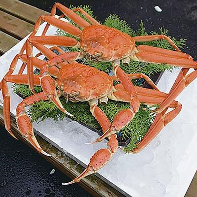 ふるさと納税 智頭町 鳥取県産ボイル松葉ガニ訳あり!　2枚セット