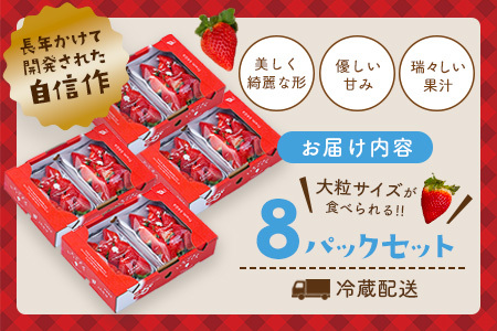 【先行受付 令和7年1月より発送】佐賀県産『いちごさん』8Pセット【苺 イチゴ ブランドいちご 大粒 果物 フルーツ デザート ふるさと納税】(H108102)