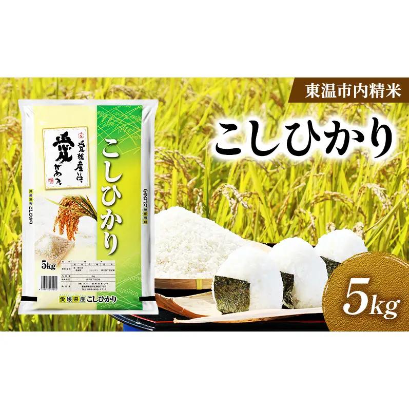 こしひかり 精米 愛媛県産 こしひかり【約5kg】