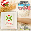 【ふるさと納税】 令和6年産 つや姫 精米 真空パック 容量お選びください［2～10kg］ 山形県庄内産 | 白米 ご飯 ライス パック ごはん つやひめ 鶴岡市 備蓄米 災害備蓄用 非常食