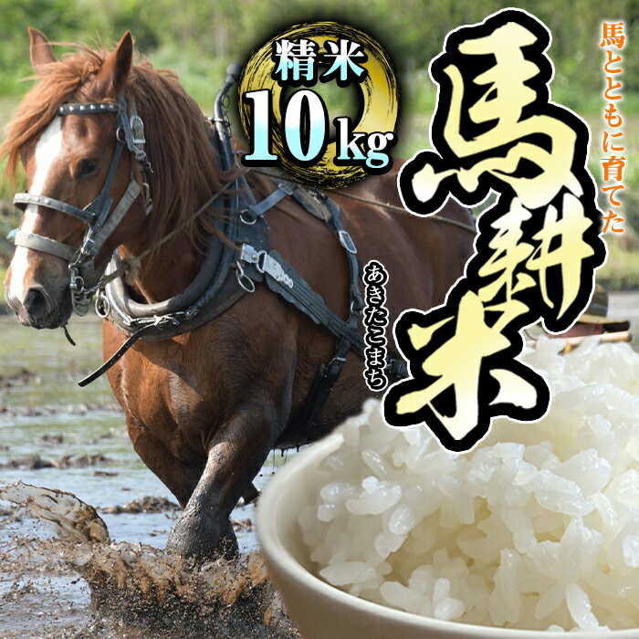 【ふるさと納税】 令和7年産 おすすめ 精米 白米 馬耕米 あきたこまち 10kg 選べる発送月 / 1月発送 / 2月発送 / 国産 東北 コメ ごはん ご飯 美味しい 馬 農耕馬 ウマ 堆肥 たい肥 こだわり ご当地 産地直送 農家直送 単一原料米 岩手県 滝沢市 送料無料 スタディア