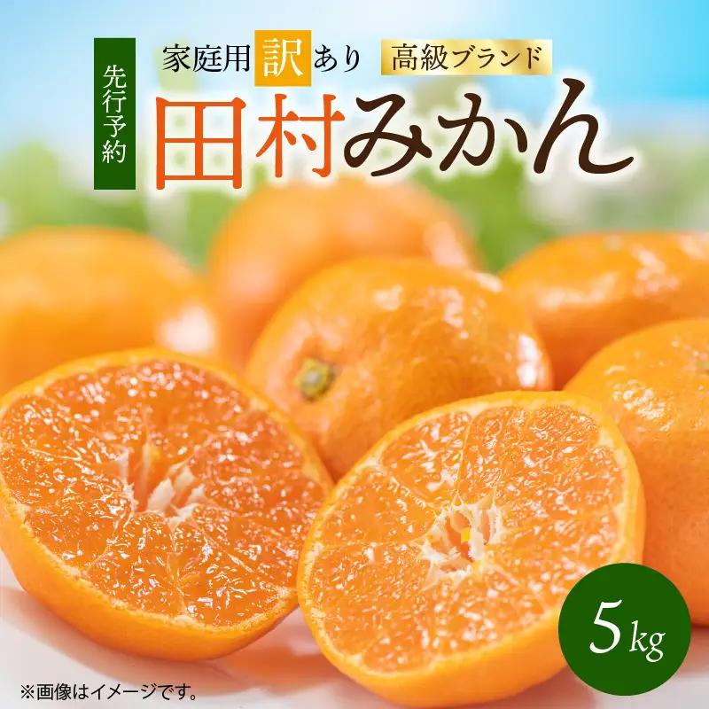 【2026年先行予約】高級ブランド 田村みかん 約5kg【家庭用 訳あり】_G7342