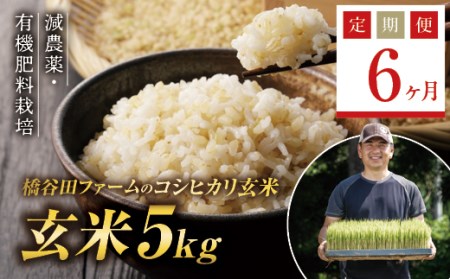 《定期便6ヶ月》 減農薬・有機肥料栽培 西会津産米コシヒカリ 玄米 5kg 米 お米 おこめ ご飯 ごはん 福島県 西会津町 F4D-2200
