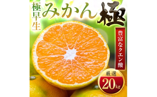＜太陽をたっぷり浴びた＞極早生みかん＜極＞20kg＜H49-37＞【1508913】 YWTZ029