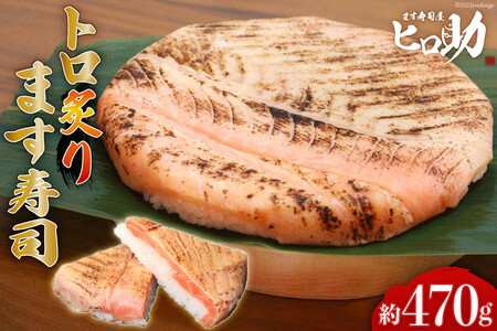 ます寿司 トロ炙り 押し寿司 富山名物 ます寿司【470g】【冷蔵】
