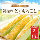 【ふるさと納税】朝採れとうもろこし 10本セット 2L(2024年9月より順次発送) 【 ふるさと納税 人気 おすすめ ランキング 夏のごちそう とうもろこし トウモロコシ コーン 旬 ゴールドラッシュ 糖度 甘味 焼きもろこし フルーツ野菜 福島県 北塩原村 送料無料 】 KBJ008