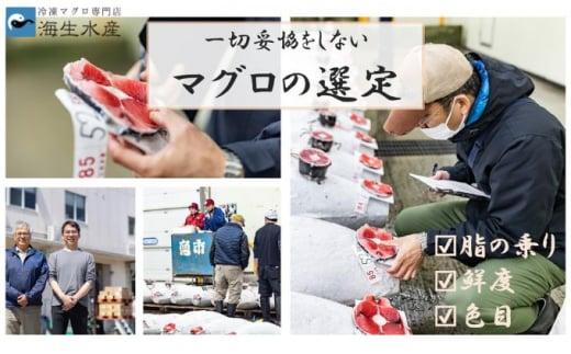 冷凍 鮪 メバチマグロ 味わいセット（中とろ＋上赤身）静岡市 天然 まぐろ トロ マグロ 厳選 海生水産 海の幸