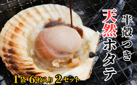 【数量限定】半殻つき 冷凍ホタテ 2袋《厚真町》【鵡川漁業協同組合】ホタテ ホタテ ホタテ ホタテ ホタテ ホタテ [AXAL001]