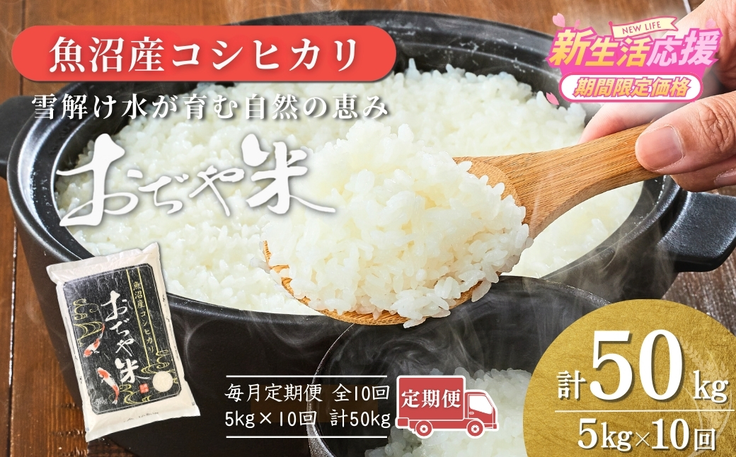令和7年産魚沼産コシヒカリ定期便 5kg×10回（毎月お届け）（10か月連続お届け）JA魚沼 白米 魚沼 米 定期便