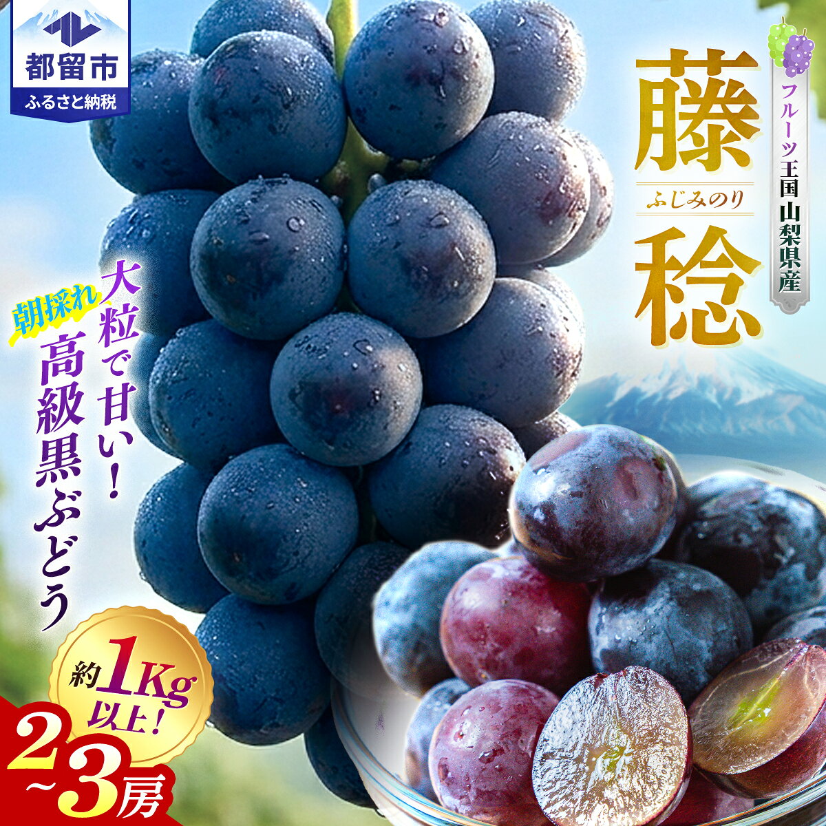 【ふるさと納税】【2027年 先行予約】山梨県都留市産 朝採れ 藤稔 約1.0kg 以上(2～3房） フルーツ 果物 ぶどう ブドウ 葡萄 黒ぶどう 数量限定 期間限定