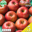 【ふるさと納税】 りんご サンふじ 訳あり 5kg noon farm 沖縄県への配送不可 令和6年度収穫分 長野県 飯綱町 〔 傷 不揃い リンゴ 林檎 果物 フルーツ 信州 長野 13000円 予約 農家直送 〕発送時期：2025年1月上旬〜1月中旬 {*}