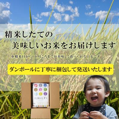 ふるさと納税 盛岡市 【毎月定期便】無洗米 銀河のしずく 5kg全3回 |  | 03
