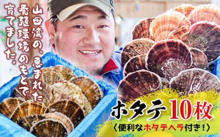 明神丸かき・ほたてきちのホタテ（大）10枚セット【沖縄県・離島配送不可　配送日指定不可】 YD-494