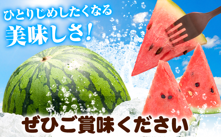 【先行予約】紀州和歌山産 小玉 スイカ 「ひとりじめ」 1玉 魚鶴商店《2026年6月上旬-7月上旬頃出荷》 和歌山県 日高町 スイカ スイーツ フルーツ 果物 野菜 スイカ すいか 夏 旬