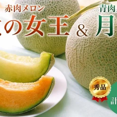 メロンセット 赤肉 北の女王 青肉 月雫【約1.6kg 各2玉】【先行予約】