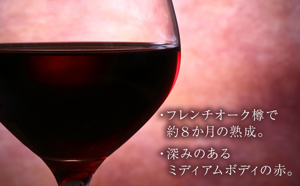 【数量限定】キムラヴィンヤード古木2024 1本
