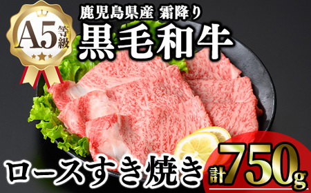鹿児島県産 A5等級 黒毛和牛 霜降り ロースすき焼き用 (計750g)【KNOT】 B184-v01