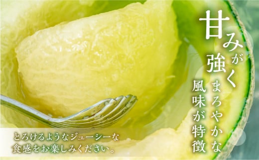 【定期便】先行予約 マスクメロン 3回  伊良湖産 2玉 3Lサイズ   箱詰め メロン フルーツ 果物 お中元 お取り寄せ ギフト 渥美半島 田原市  日研農園 産地直送 送料無料 36000円