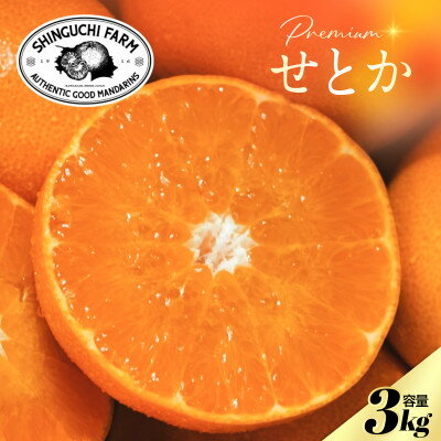 【ふるさと納税】【贈答用】五代目が厳選した「柑橘の大トロ せとか」3kg【F70-154】【1707144】