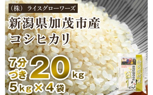 【令和8年産新米先行予約】【7分づき】新潟県加茂市産 特別栽培米コシヒカリ 精米20kg（5kg×4）《10月上旬～順次出荷》 従来品種コシヒカリ （株）ライスグローワーズ