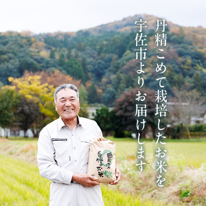 ヒノヒカリ 白米 (10kg) お米 ごはん ご飯 ひのひかり 数量限定 【118300400】【真田　定二】