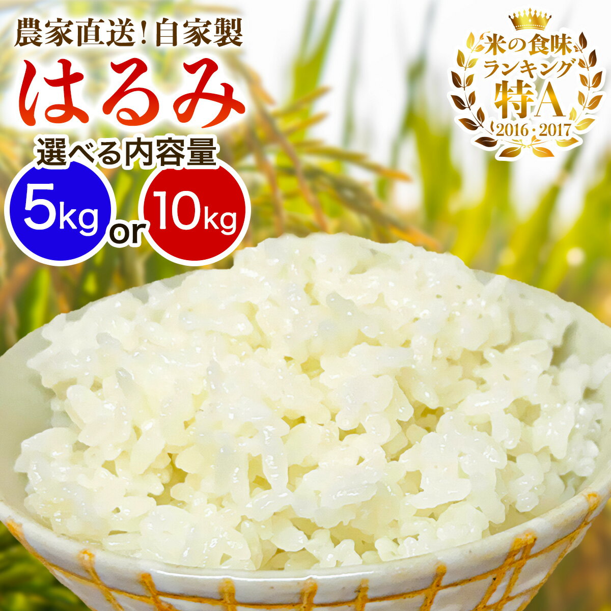 【ふるさと納税】新米 [令和7年産] 伊勢原産 精米5kg／10kg はるみ 農家直送！加藤さんちのうんめぇ！自家製米 選べる内容量｜先行予約 お米 おこめ コメ 白米 神奈川 伊勢原 ブランド米 [0522-0524]