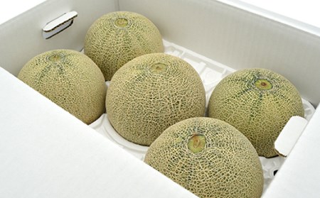 《先行予約 2026年度発送》山形県産庄内メロン約5kg【赤肉メロン】4L～2Lサイズ 赤肉メロン メロン 赤肉 デザート フルーツ 果物 くだもの 果実 食品 山形県 FSY-0399