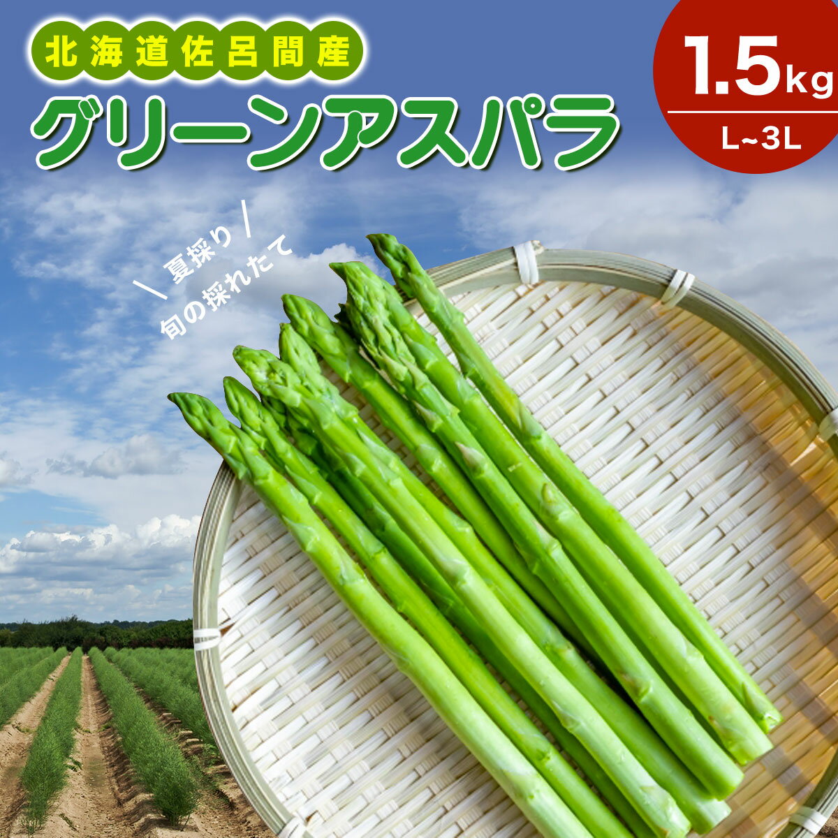 【ふるさと納税】【夏採り】 グリーンアスパラ 1.5kg（L～3L）旬の採れたて 北海道 佐呂間産 （2025年7月出荷開始先行予約） 【 ふるさと納税 人気 おすすめ ランキング 野菜 アスパラ アスパラガス グリーン とれたて 新鮮 北海道 佐呂間町 送料無料 】 SRMM005