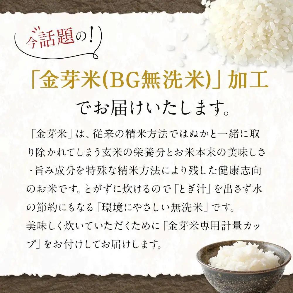 【 定期便 】令和7年産  上富田町産 金芽米 きぬむすめ 5kg × 3か月 井戸本農園
