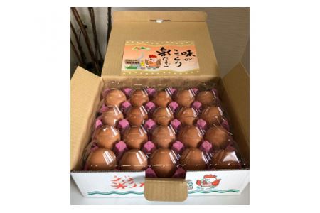 彩たまご うみたてたまご20個入り 化粧箱 60サイズ【養鶏場直送 卵 たまご 新鮮 卵 たまご 】